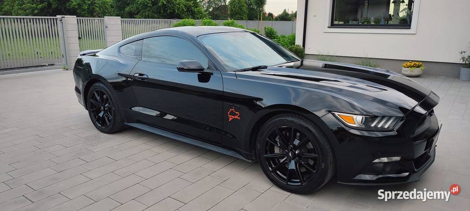 Ford Mustang Ford Mustang 50 V8 GT I właściciel