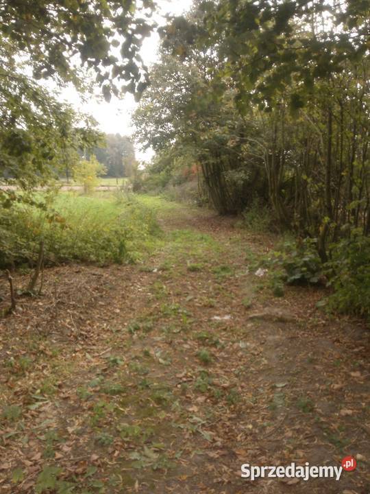 Działka siedlisko siedliskowa Ciechanowiec