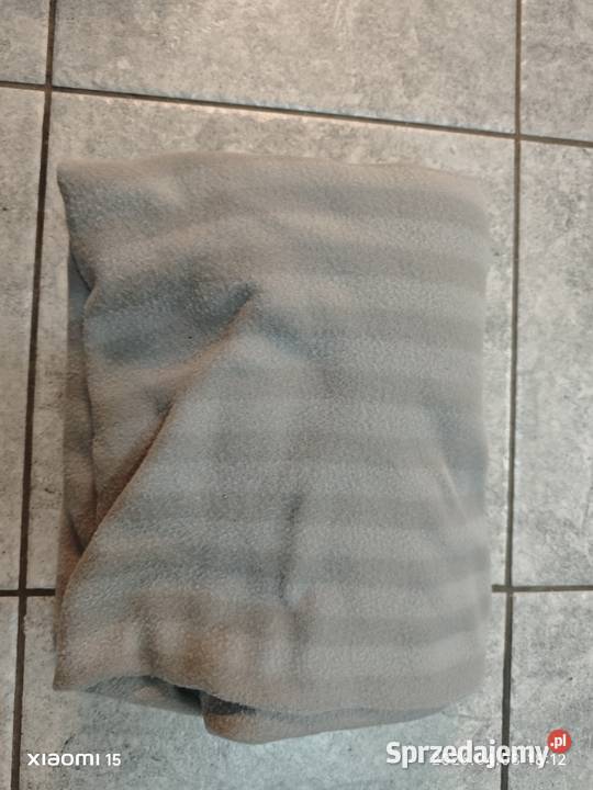 Wyprawka królika Warszawa