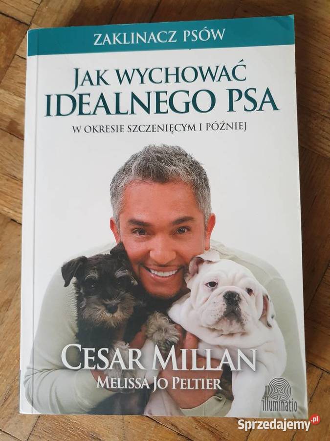 SUPER STAN Cesar Millan WYCHOWAĆ ZOSTAĆ miękka dolnośląskie