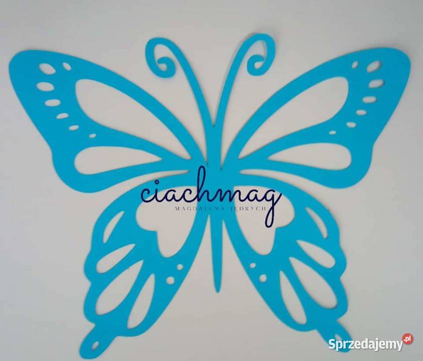 Motyle ażurowe Trojanów