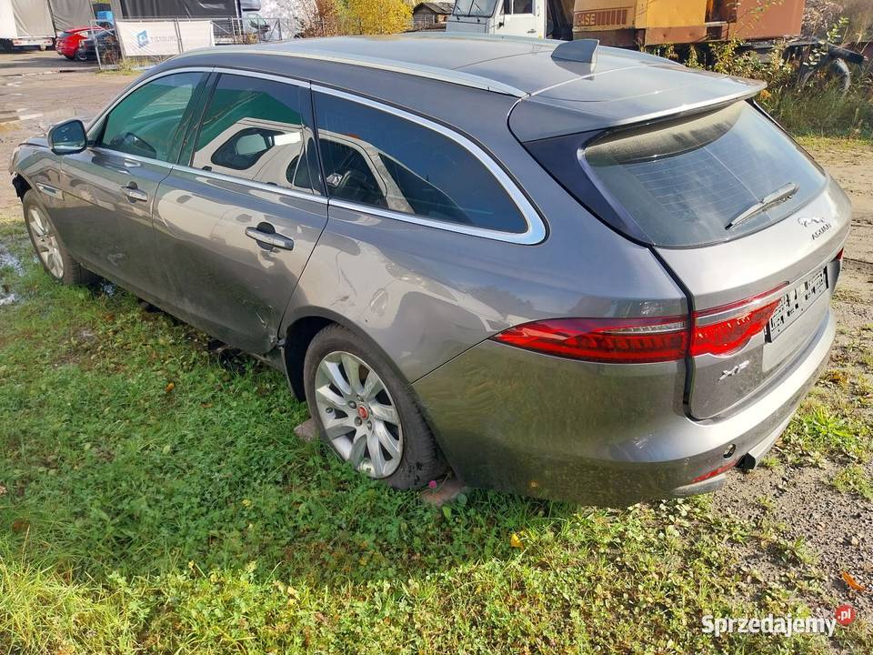 Jaguar XFzarejestrowany w kraju Żarki
