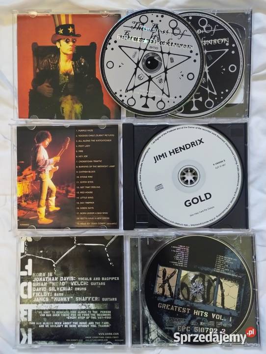Płyty CD muzyka rockowa rock Poznań