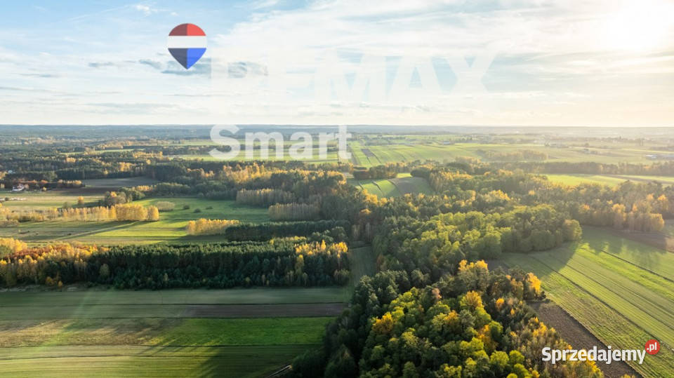 Dom z potencjałem w Toporowie z dużą działką 2 piętra łódzkie Toporów sprzedam