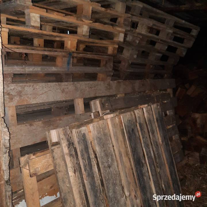 Palety drewniane Magazynowanie Pasłęk