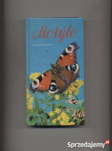 Motyle Szczecin sprzedam