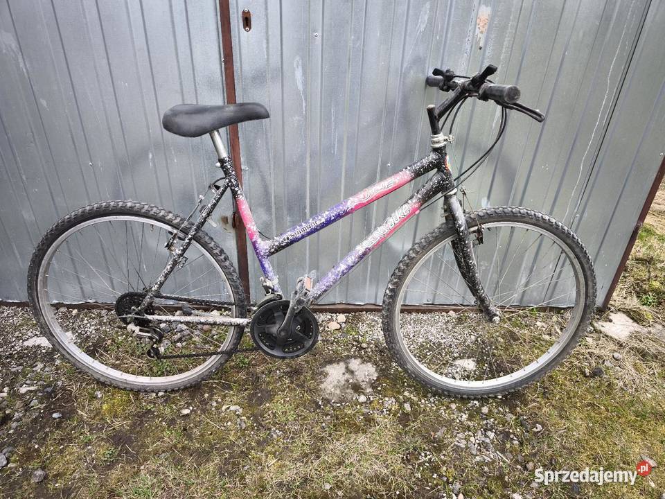 Rower Tecno Bike dune 26 ciekawe malowanie