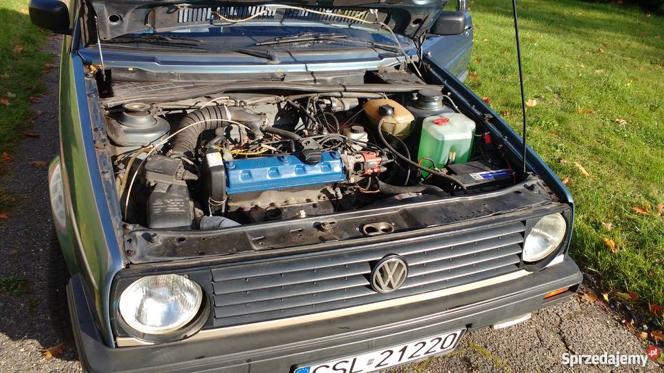 Volkswagen golf kat