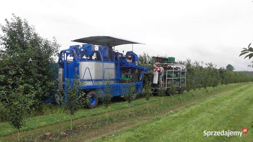 Kombajn OXBO 9000 borówka malina
