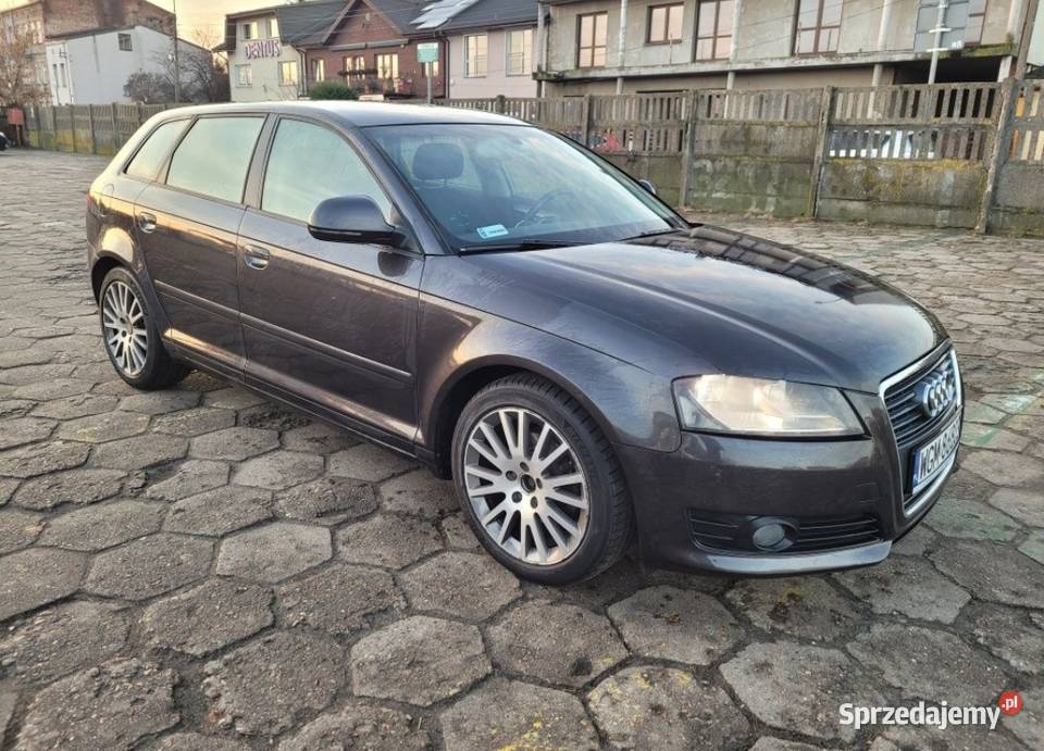 Audi A3 8P 19TDI 105 Żyrardów