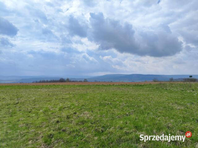 Działka 1592m2 Grudza