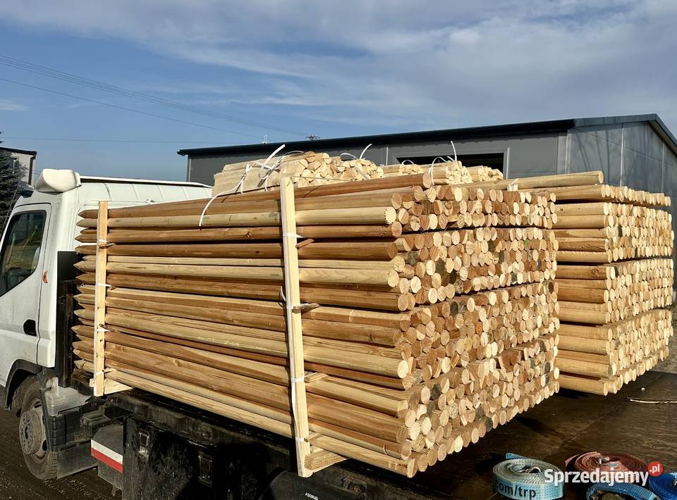 Paliki drewniane okrąglaki do nasadzeń ostrzone