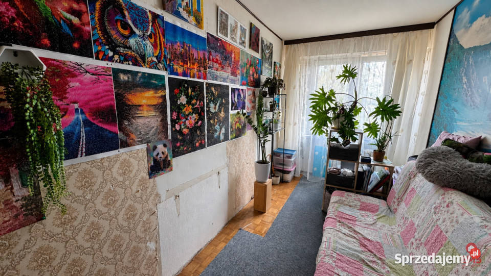 Mieszkanie Białystok 485m2