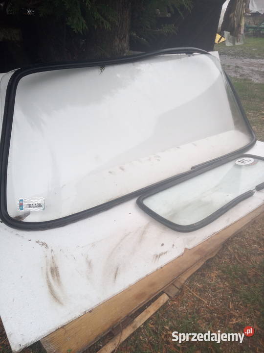 szybyszyba tarpan Pińczów