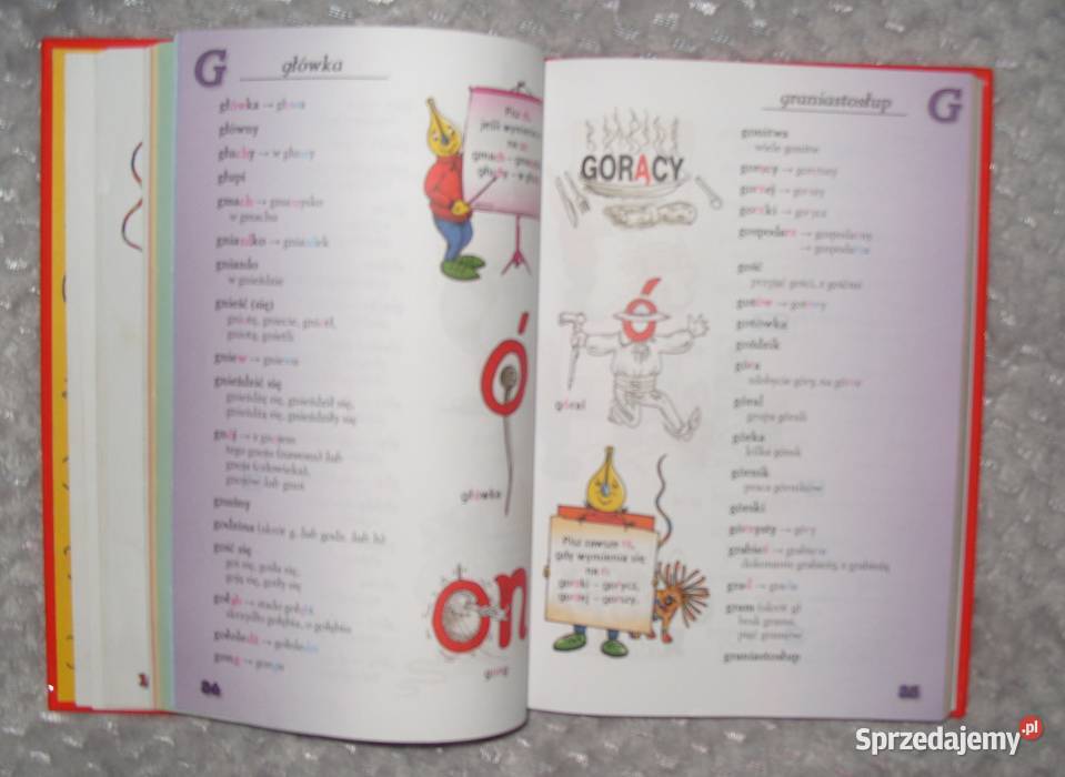 Napisz to Poprawnie Słownik ortograficzny klas twarda Rawicz sprzedam