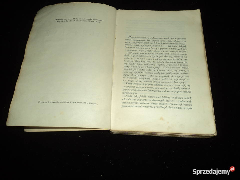 Palę Paryż Brunon Jasieński 1929r wydaniee