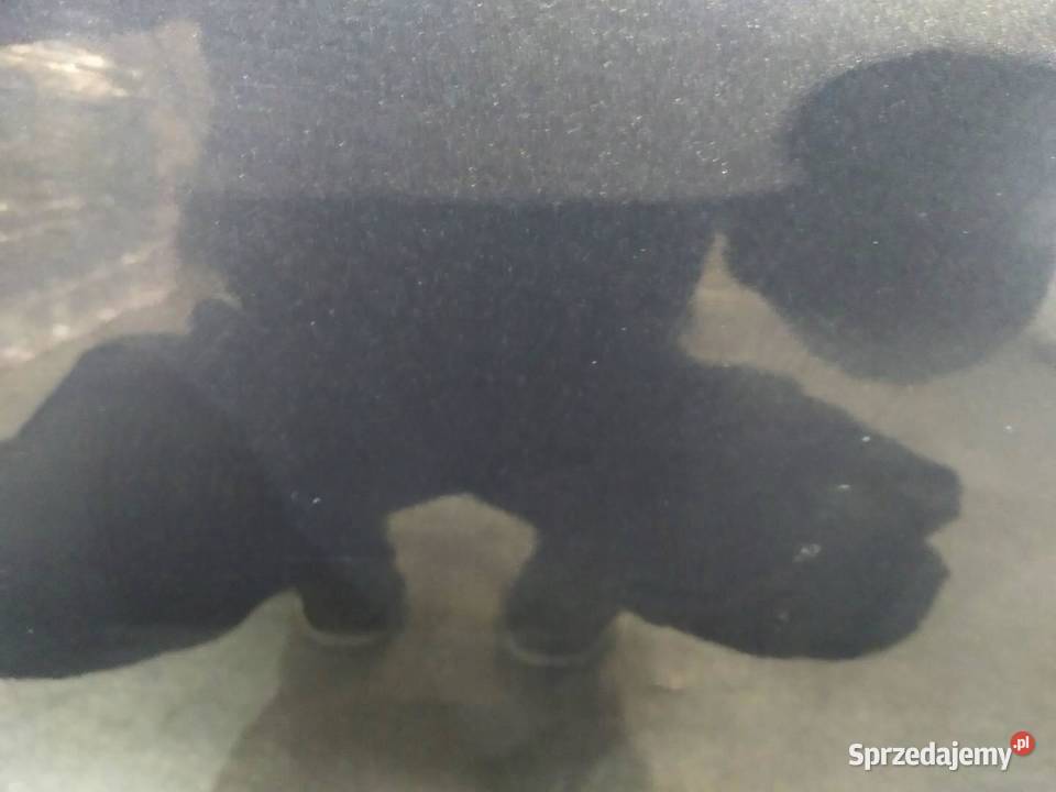 DRZWI PRAWE TYŁ KOMBI LIFT 5K Kia Ceed I