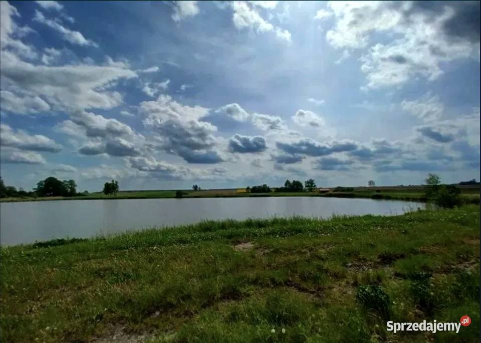 Działka budowlana stawie