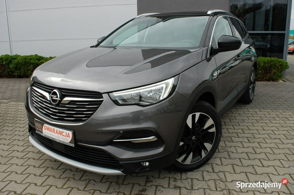 Opel Grandland X AutomatKameraNavi Dębica