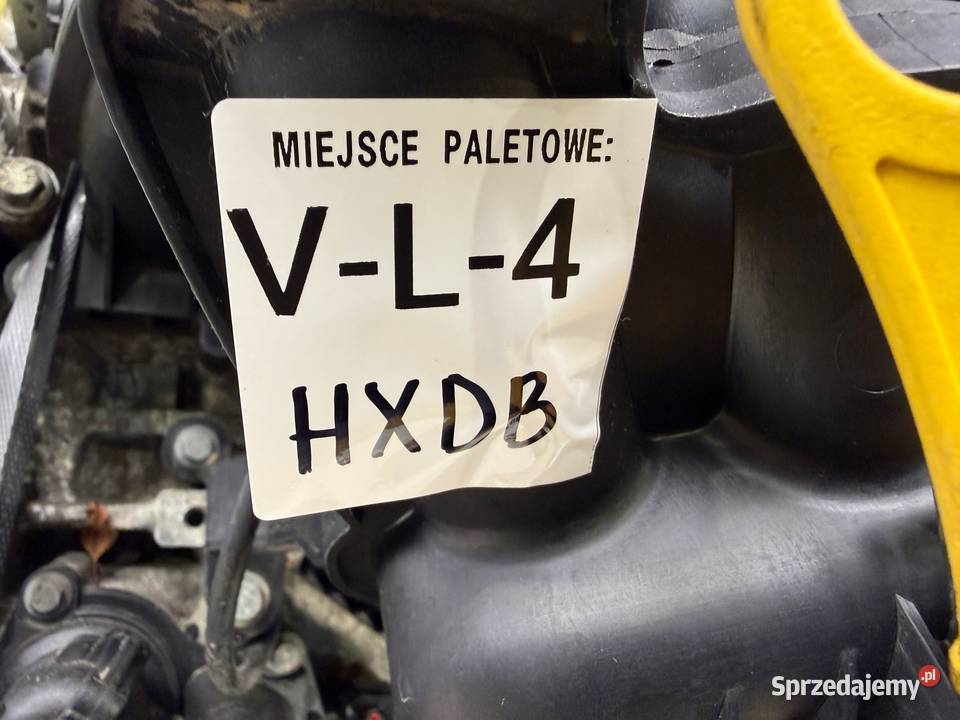 SILNIK HXDA HXDB Ford Focus II MK2 C C 16 16V Ti lubelskie