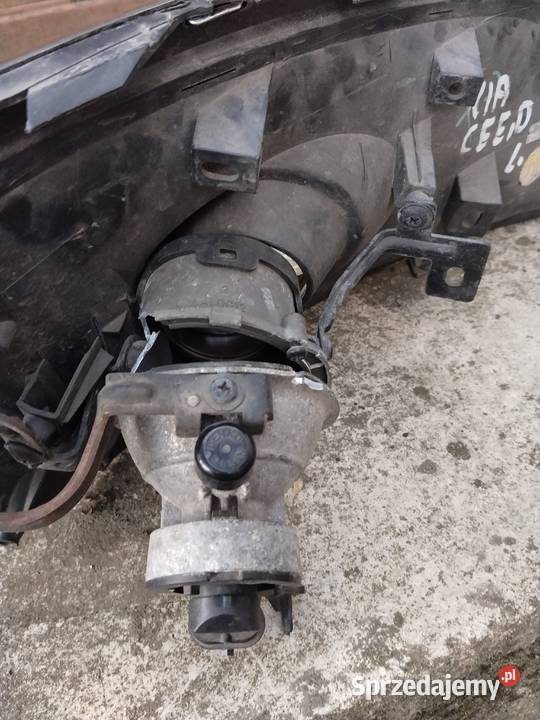 Halogen lewy przód Kia ceed Leszno