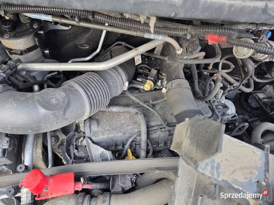 Renault Master Zgierz