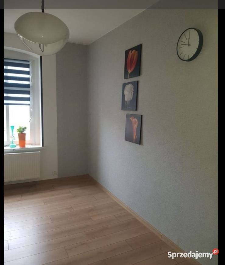 2pok 59met Nasiennej ROZKŁADPIWNICA Legnica własność