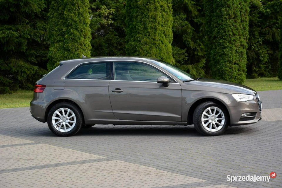 Audi A3 16TDI105 bixenon Ledy Navi Parktronic Ostrów Mazowiecka