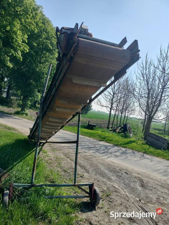 Taśmociąg podajnik do warzyw Bielki