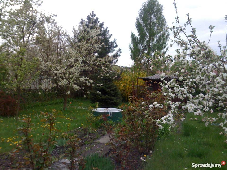 ogródek działkowy Zabrze Rymera siatka Zabrze