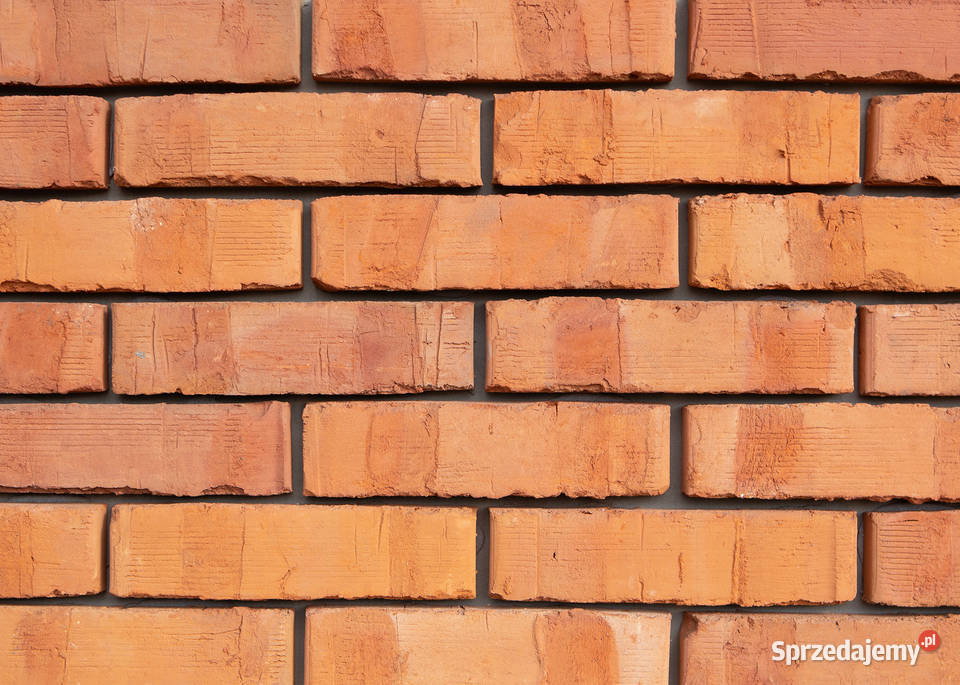 Płytki ceglane podkarpackie Trześń
