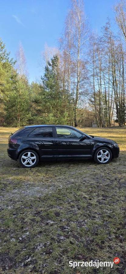 Audi A3 8P 19 Tdi BLS