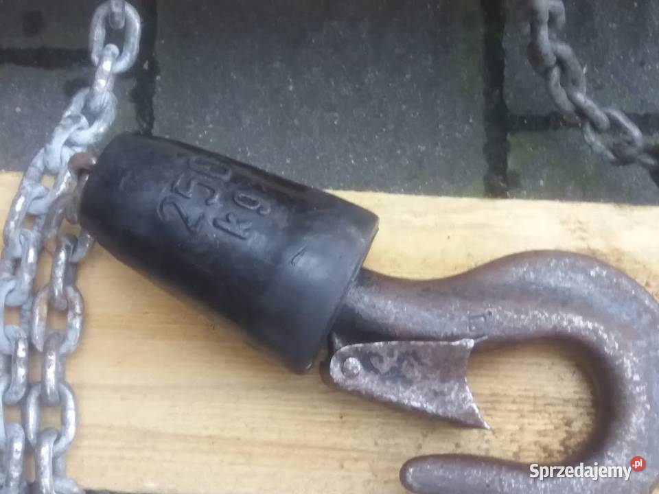 Wciągarka łańcuchowa elektryczna 250 Balkancar Rawicz