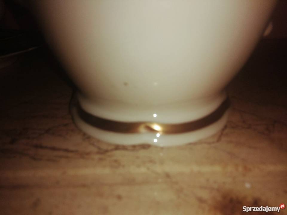 Serwis do Herbatki 9 osób Hackefors Szwecja Gdańsk