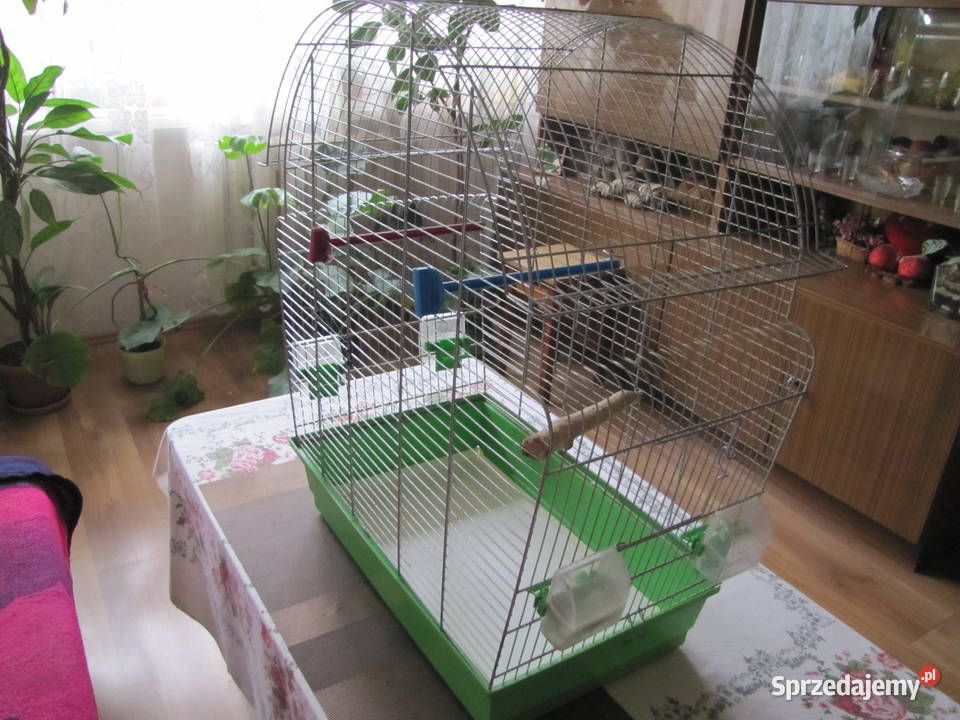 Duża klatka ptaków