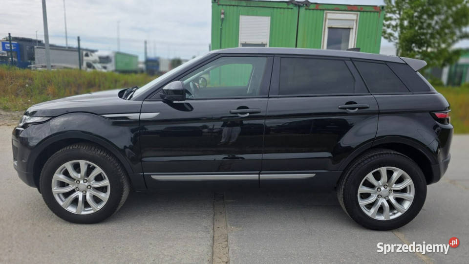 Land Rover Range Rover Evoque super stan duza Lębork