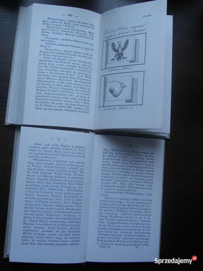 Święcki Opis starożytnej Polski sztuka, kultura i etnologia