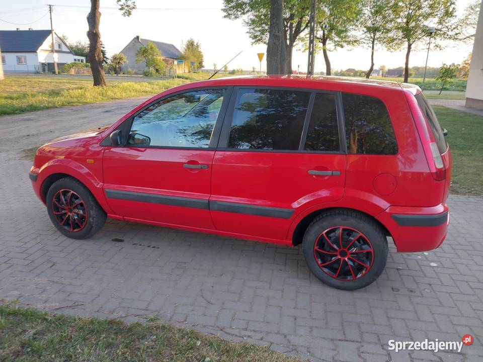 Ford Fusion 14 tdci 2009 nieuszkodzony wielkopolskie Granowo