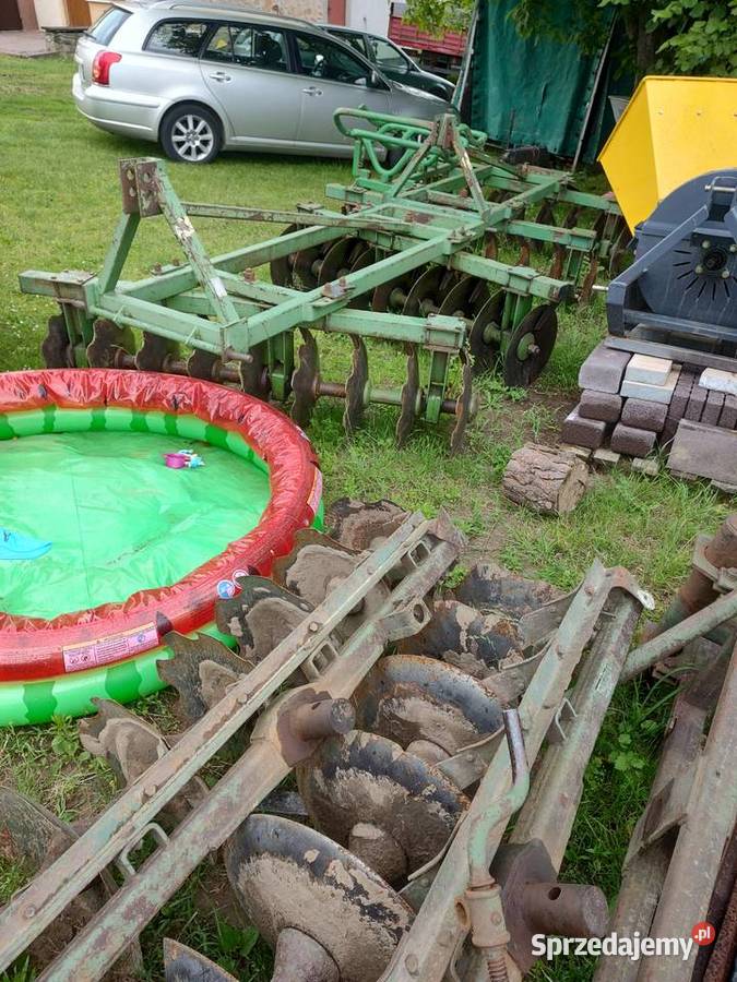 Talerzówka nieuszkodzony Śniadka Druga