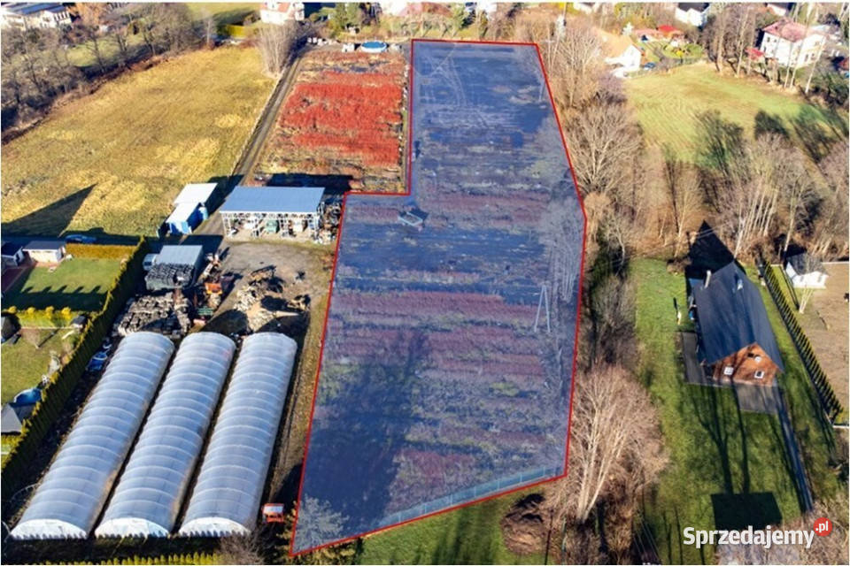 Kozy działki budowlane 5794 m budowlana