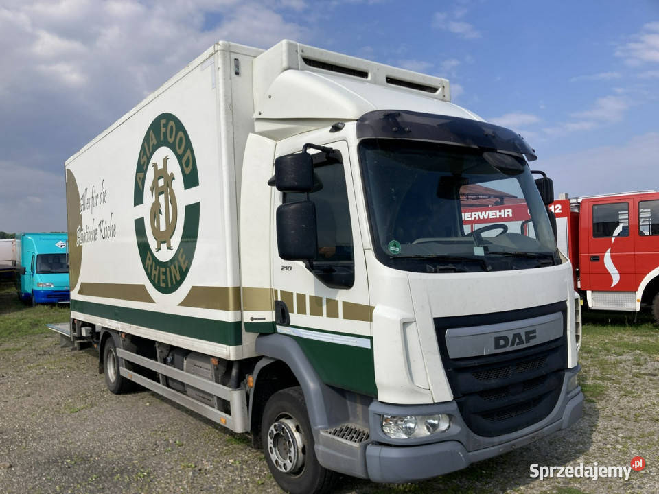 DAF inny DAF LF210FA Chłodnia Konvekta Hydro światła przeciwmgłowe DAF dolnośląskie sprzedam