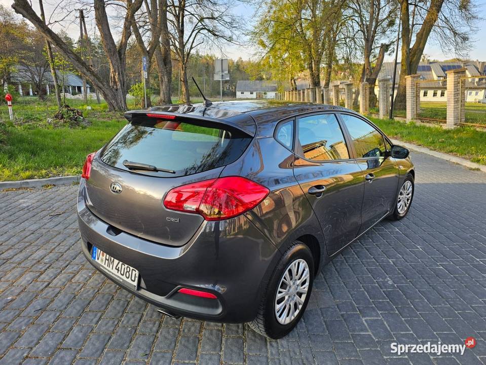 Świeżo sprowadzona Kia ceed 14 CRDi 2013 Rok produkcji 2013 Cee'd Cee'd Krasnobród