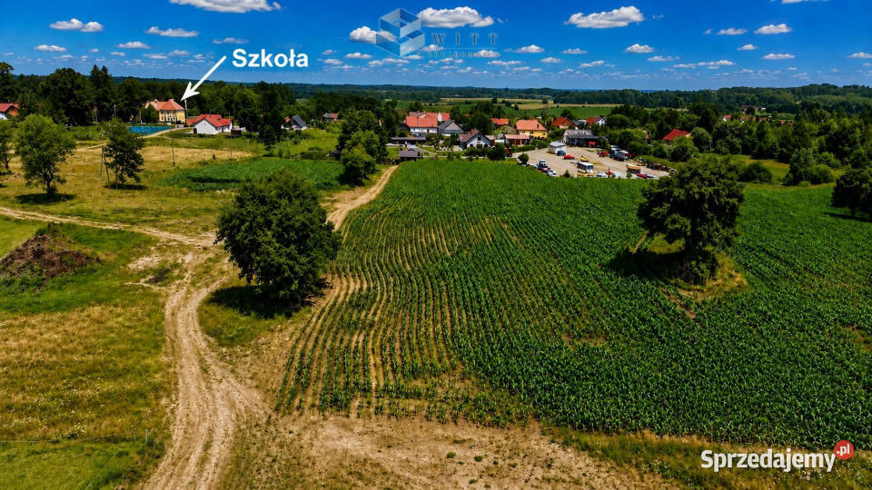 Działka 3200m2 Jurki