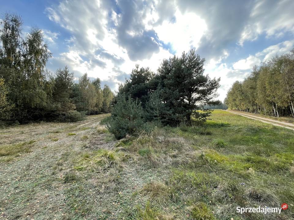 Działka z możliwością budowy domu 14 arów 1400m2