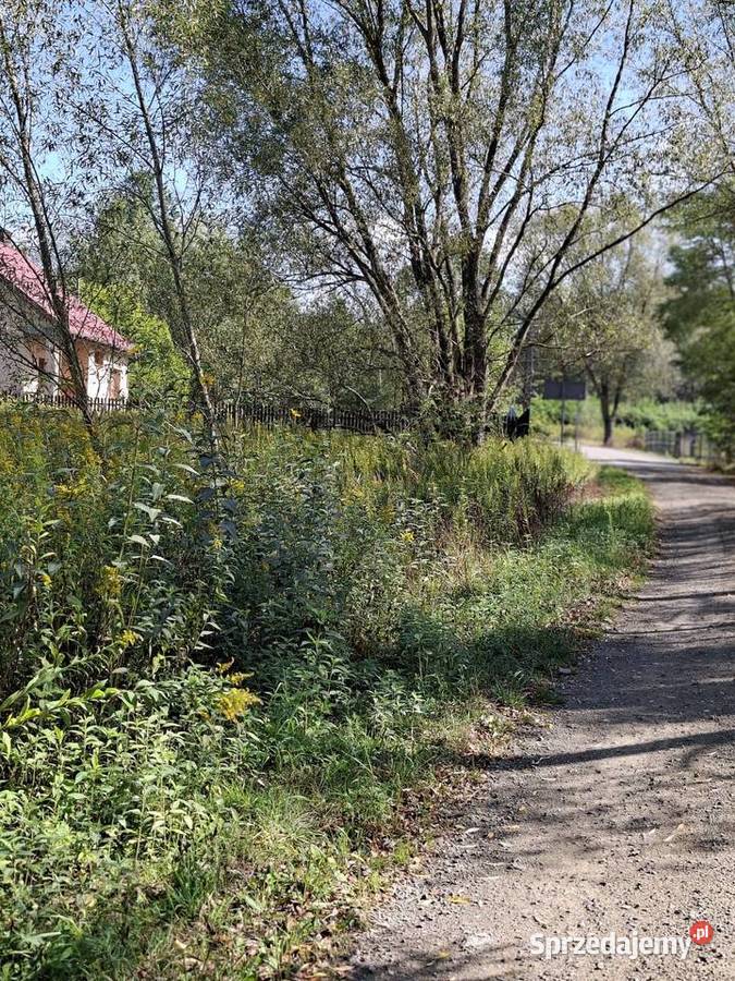 Sprzedam działkę budowlaną Regut