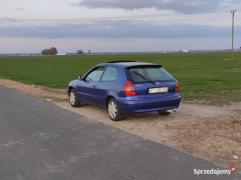 Toyota Corolla E11 GS Poznań