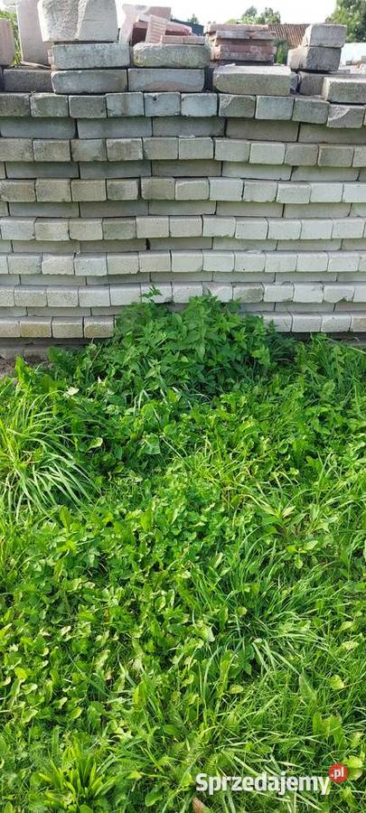 Biała cegła Jesionowo