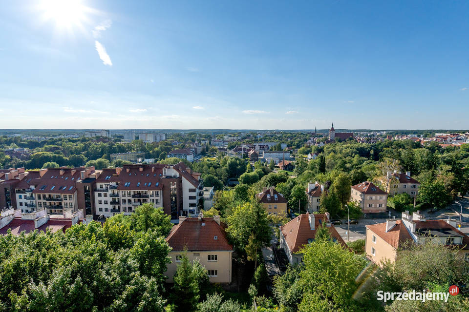 2 pokoje 386m Żołnierska 12b parku miejskim Liczba pokoi 2 Sprzedaż Olsztyn