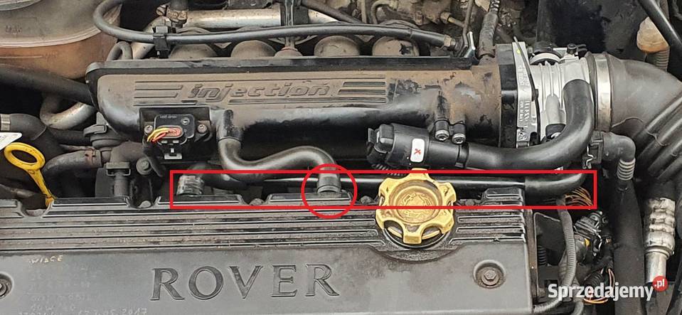 ROVER MG WĄŻ ODMY PODCIŚNIENIA ZESTAW NAPRAWCZY sprzedam