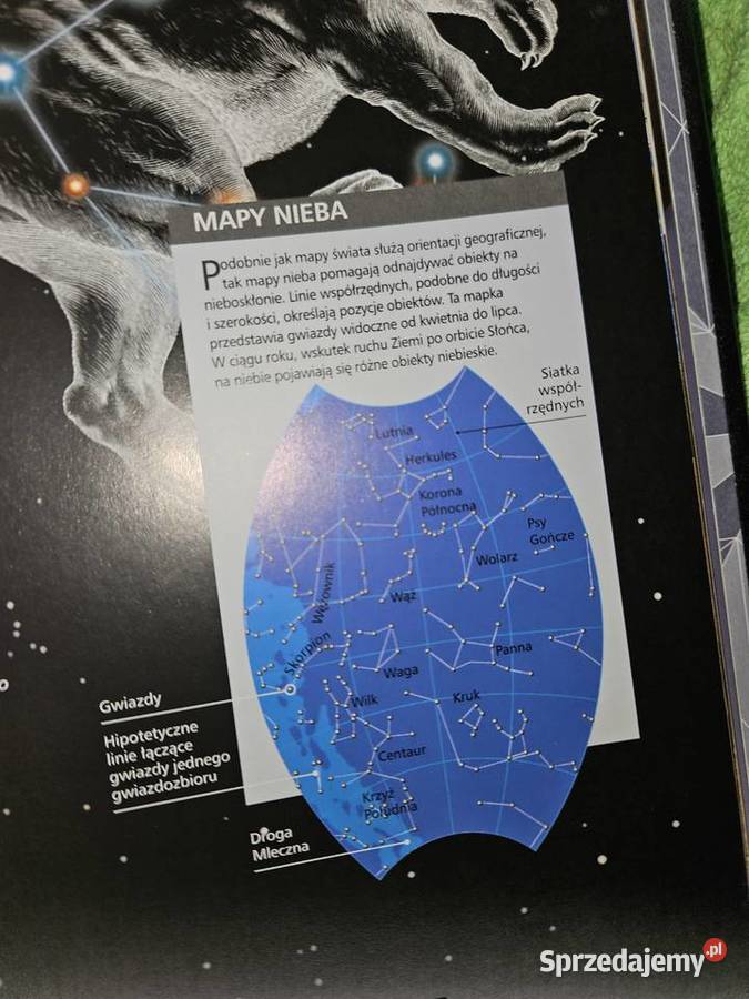 Kodmos Rewelacyjna skarbnica wiedzy Nowa Warszawa